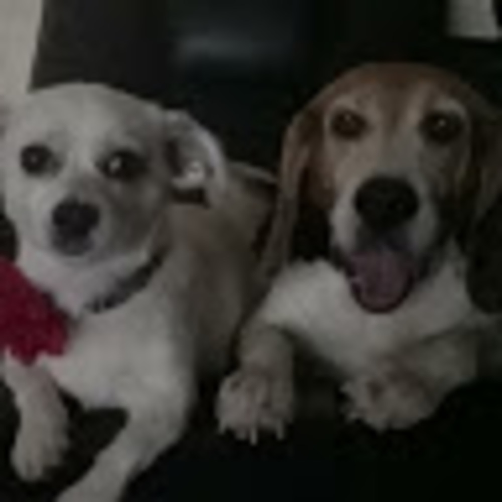 Meet your Posher, Juliana and